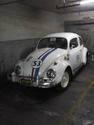 Volkswagen Escarabajo Herby